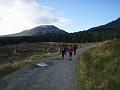 Forest track - leg 2